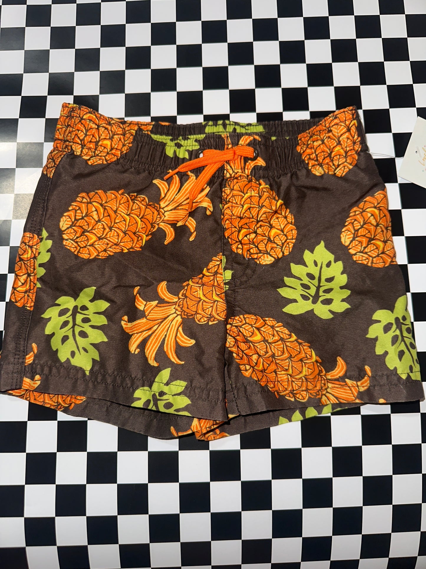 Gymboree boys swim trunks size 6-12 months brown