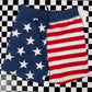 Carters 4th of July shorts 2T