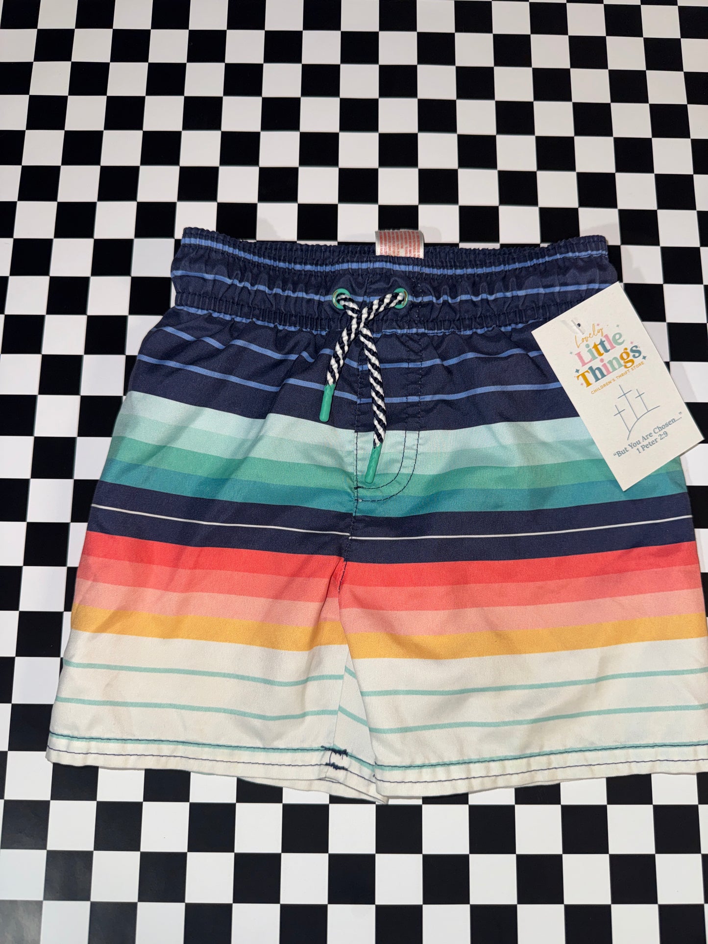 Cat & Jack swim trunks 2T